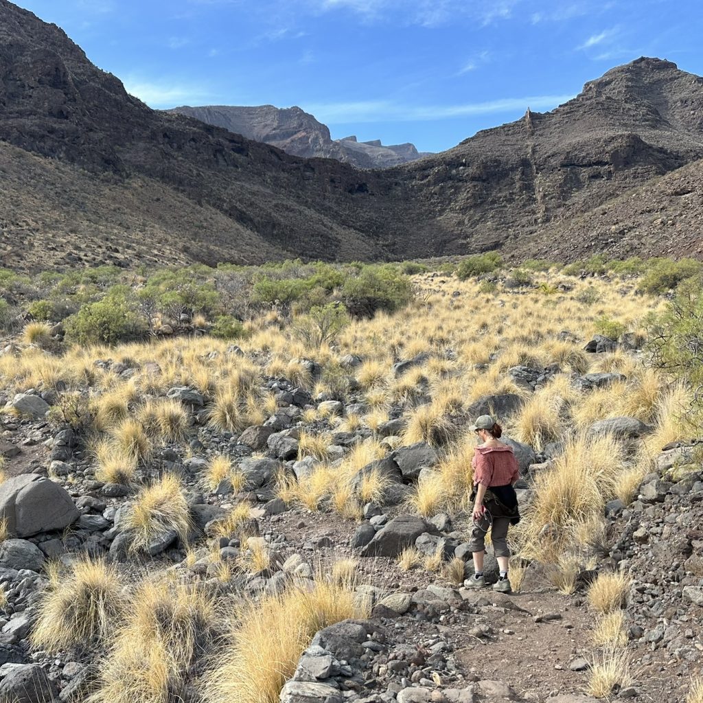 2027: La Gomera Klangschalen- Retreat (Finca el cabrito)
