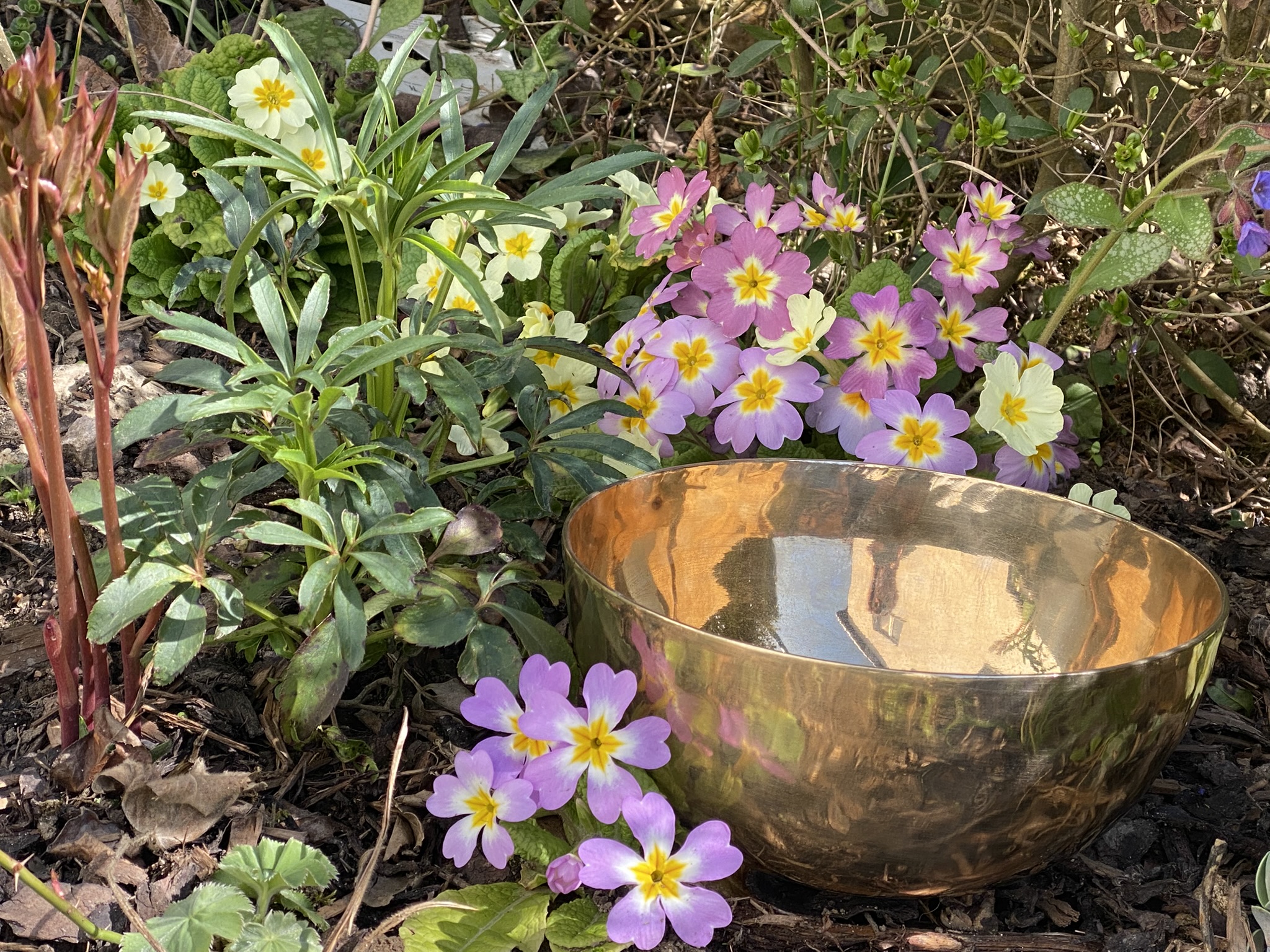 Leider verpasst! || Klangschalen zur Entspannung- Zeit für mich